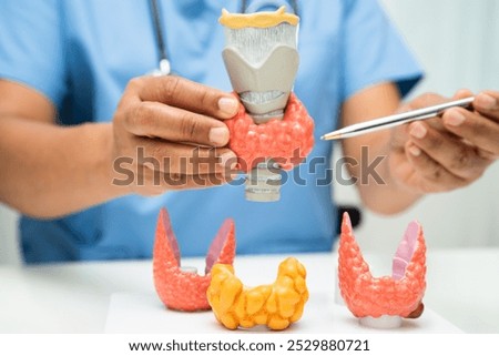 Hyperthyroidism, Overactive Thyroid, Thyroid Lymphoma, Asian doctor with thyroid gland human anatomy model in hospital.