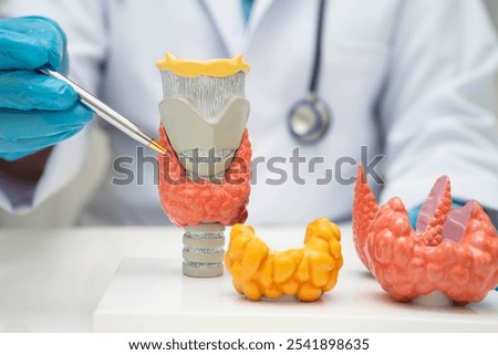Hyperthyroidism, Overactive Thyroid, Thyroid Lymphoma, Asian doctor with thyroid gland human anatomy model in hospital.