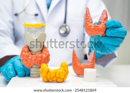 Hyperthyroidism, Overactive Thyroid, Thyroid Lymphoma, Asian doctor with thyroid gland human anatomy model in hospital.