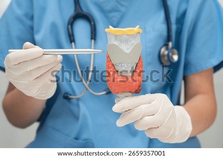Hyperthyroidism, Overactive Thyroid, Thyroid Lymphoma, Asian doctor with thyroid gland human anatomy model in hospital.