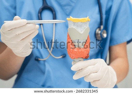 Hyperthyroidism, Overactive Thyroid, Thyroid Lymphoma, Asian doctor with thyroid gland human anatomy model in hospital.