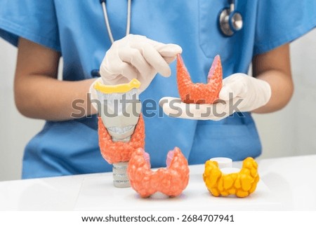 Hyperthyroidism, Overactive Thyroid, Thyroid Lymphoma, Asian doctor with thyroid gland human anatomy model in hospital.