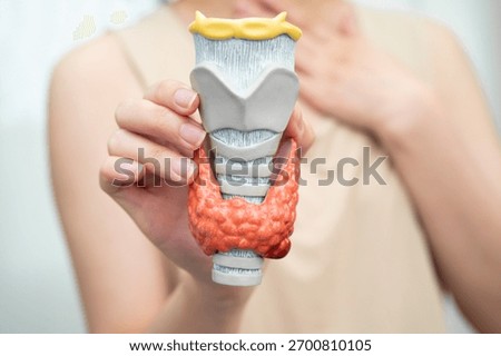 Hyperthyroidism, Overactive Thyroid, Thyroid Lymphoma, Asian woman with thyroid gland human anatomy model.