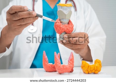 Hyperthyroidism, Overactive Thyroid, Thyroid Lymphoma, Asian doctor with thyroid gland human anatomy model in hospital.