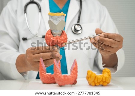 Hyperthyroidism, Overactive Thyroid, Thyroid Lymphoma, Asian doctor with thyroid gland human anatomy model in hospital.