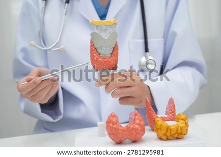 Hyperthyroidism, Overactive Thyroid, Thyroid Lymphoma, Asian doctor with thyroid gland human anatomy model in hospital.