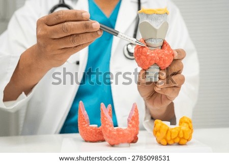 Hyperthyroidism, Overactive Thyroid, Thyroid Lymphoma, Asian doctor with thyroid gland human anatomy model in hospital.
