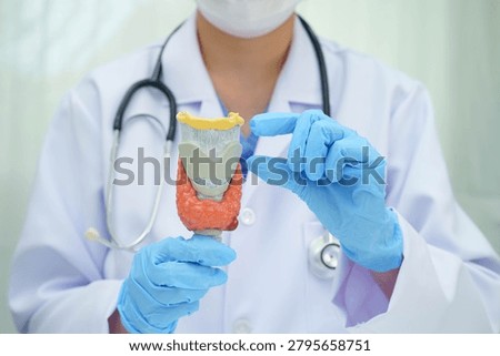 Hyperthyroidism, Overactive Thyroid, Thyroid Lymphoma, Asian doctor with thyroid gland human anatomy model in hospital.