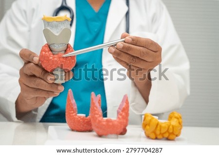 Hyperthyroidism, Overactive Thyroid, Thyroid Lymphoma, Asian doctor with thyroid gland human anatomy model in hospital.