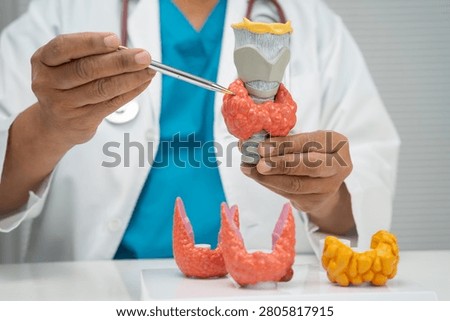 Hyperthyroidism, Overactive Thyroid, Thyroid Lymphoma, Asian doctor with thyroid gland human anatomy model in hospital.