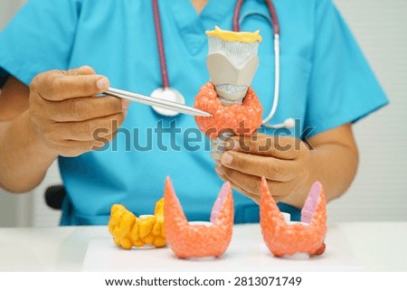 Hyperthyroidism, Overactive Thyroid, Thyroid Lymphoma, Asian doctor with thyroid gland human anatomy model in hospital.
