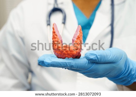 Hyperthyroidism, Overactive Thyroid, Thyroid Lymphoma, Asian doctor with thyroid gland human anatomy model in hospital.