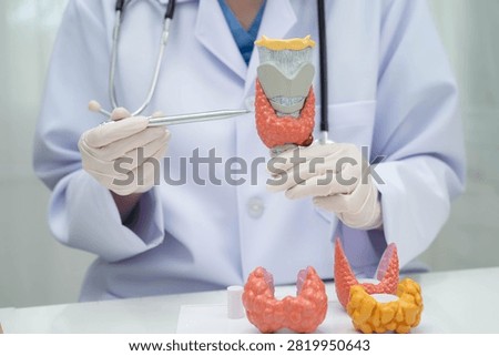 Hyperthyroidism, Overactive Thyroid, Thyroid Lymphoma, Asian doctor with thyroid gland human anatomy model in hospital.
