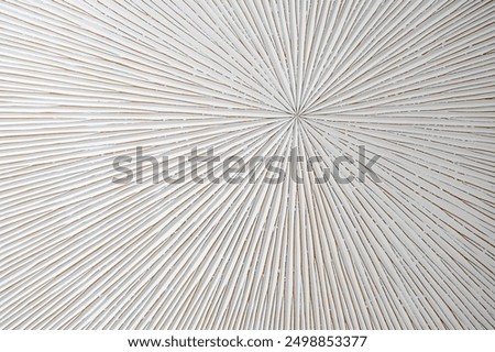 hypnotic image of lines radiating outwards from the background, background of lines radiating outwards on a white background, radiating out abstract image, horizontal
