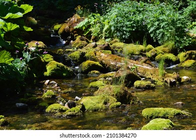 The Ibar River Source, Montenegro