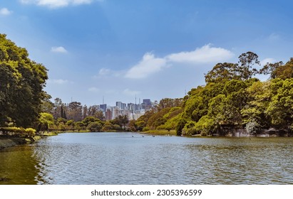 Ibirapuera Park, in the city of São Paulo, Brazil. Natural landscape with lake. City skyscrapers in the background on a sunny day with blue sky.