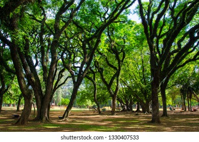 Ibirapuera Park, Sao Paulo