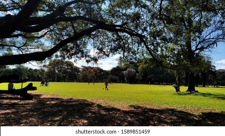 Ibirapuera Park In Winter Time