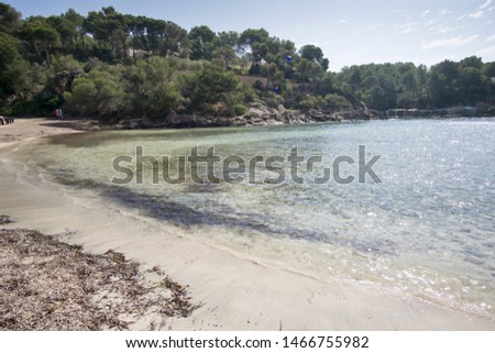 Similar – Foto Bild Aber-Fluss bei Ebbe