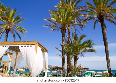 Ibiza Platja En Bossa Beach With Palm Trees A Party Landmark