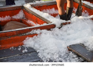 ice

