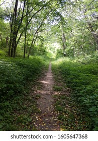 Ice Age Trail In Wisconsin Near Lake Wisconsin