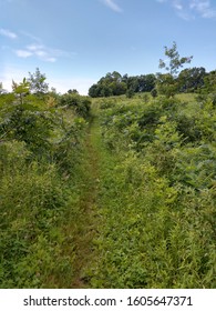 Ice Age Trail In Wisconsin Near Lake Wisconsin