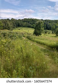 Ice Age Trail In Wisconsin Near Lake Wisconsin