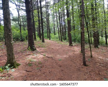 Ice Age Trail In Wisconsin Near Lake Wisconsin