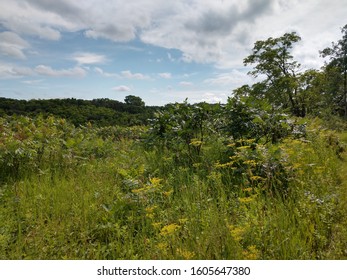 Ice Age Trail In Wisconsin Near Lake Wisconsin