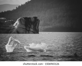 Ice In Alsek Lake, British Columbia