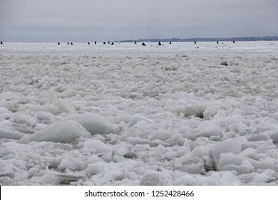 Ice Anglers In Pärnu Bay On Cold Winter Day