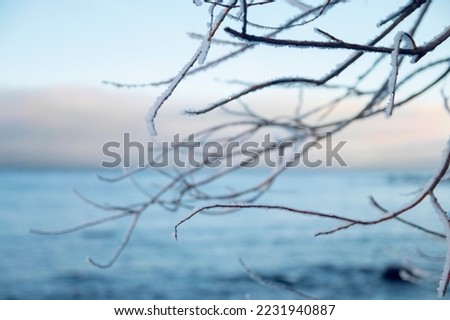Ice branch tree at lake landscape