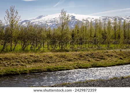 Eyjafjallajökull ice cap volcano and glacier mountain view seen through the green trees by Markarfljót river in Thorsmork valley, Iceland. Stock photo © 