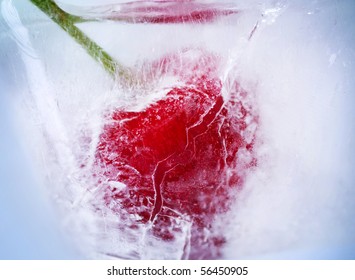 Ice Cherry closeup