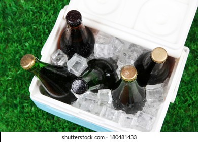 Ice Chest Full Of Drinks In Bottles On Grass Background