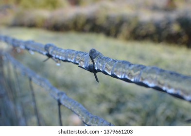 Ice Covered  Barbed Wire And  Woven Wore Fence With A  Icy Field In The Background. 