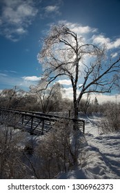 Ice Covered Tree And Bridge On Whitefish Island, Ontario, Canada