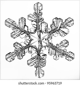 Ice Crystal Snowflake Macro