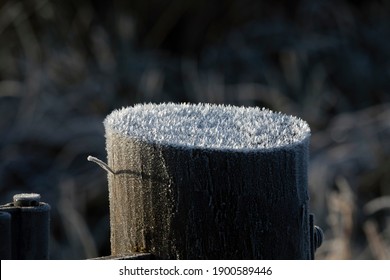 Ice Crystals Growing On Top Of A Fence Post 