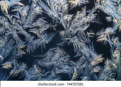 Ice Crystals  On The Window 