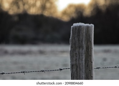 Ice Crystals Stand Upright In Freezing Temperatures On This Fence Post