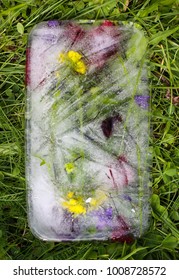 Ice cube with different summer flowers on green grass at summer.