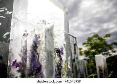 Ice Cubes With Colorful Flowers Make A Wedding Altar On The Backyard