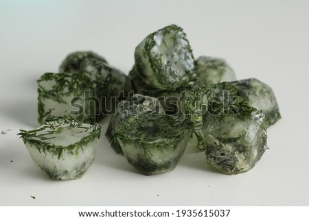 Ice cubes with dill. Ice cubes with herbs