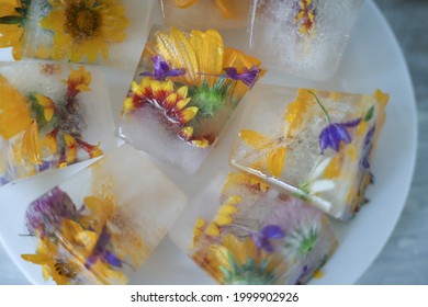 ice cubes inside which fresh flowers and yellow red petals lie on a gray background next to a green monstera leaf. for business cards, labels, signage, splash screens, banners and flyers