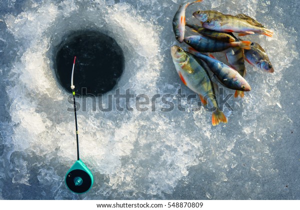 Ice fishing. Winter\
fishing