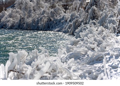 Ice And Frost Build Up In The Middle Of Winter Along The Niagara River.  The Mist Created By Niagara Falls Freezes And Creates Interesting Ice Formations On Trees And Shrubs On The Riverbank.