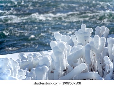 Ice And Frost Build Up In The Middle Of Winter.  The River Mist Freezes On Everything It Touches.