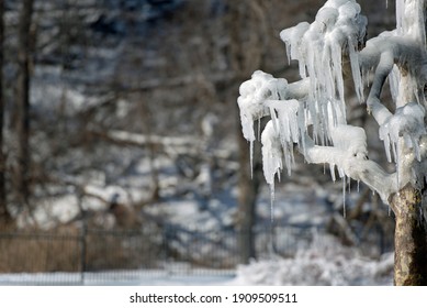 Ice And Frost Build Up In The Middle Of Winter.  The River Mist Freezes On Everything It Touches.